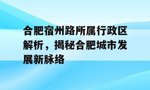 合肥宿州路所属行政区解析，揭秘合肥城市发展新脉络
