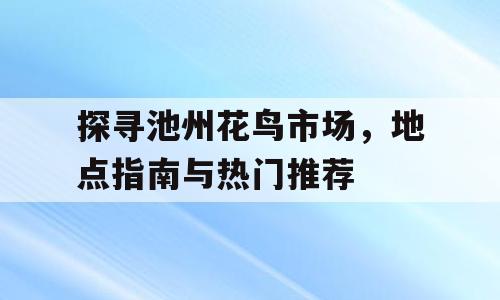 探寻池州花鸟市场，地点指南与热门推荐