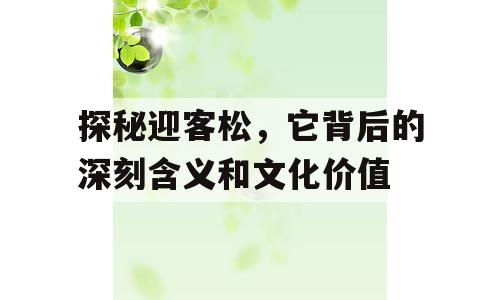 探秘迎客松，它背后的深刻含义和文化价值