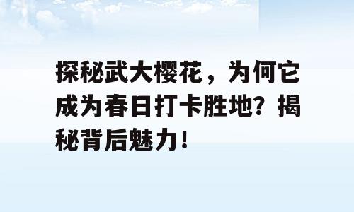 探秘武大樱花，为何它成为春日打卡胜地？揭秘背后魅力！