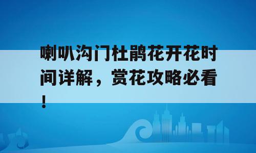 喇叭沟门杜鹃花开花时间详解，赏花攻略必看！