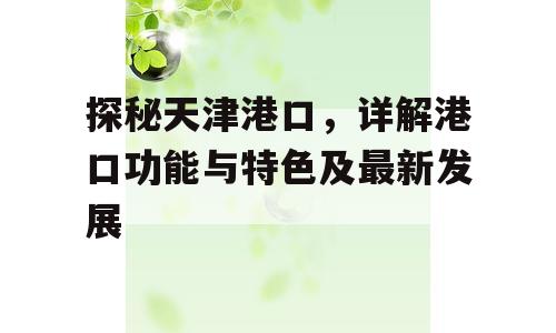 探秘天津港口，详解港口功能与特色及最新发展