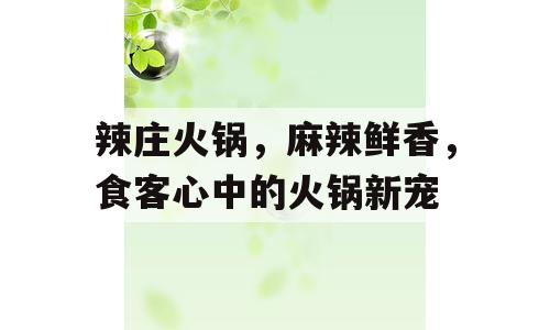 辣庄火锅，麻辣鲜香，食客心中的火锅新宠