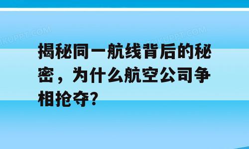 揭秘同一航线背后的秘密，为什么航空公司争相抢夺？