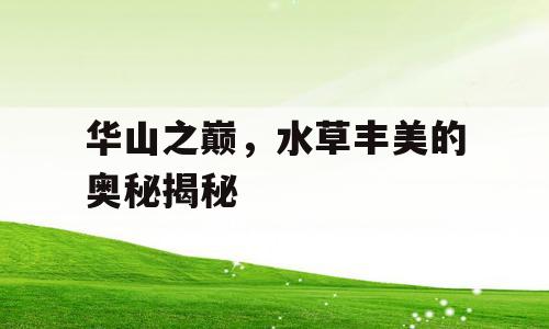 华山之巅，水草丰美的奥秘揭秘