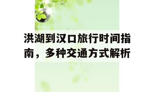 洪湖到汉口旅行时间指南，多种交通方式解析