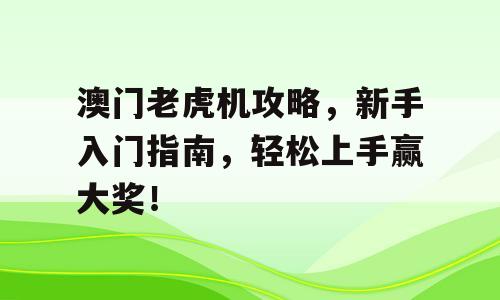 澳门老虎机攻略，新手入门指南，轻松上手赢大奖！
