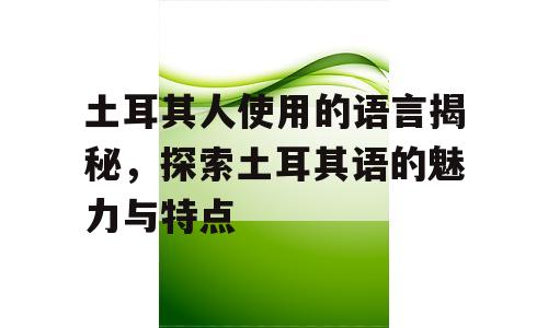 土耳其人使用的语言揭秘，探索土耳其语的魅力与特点