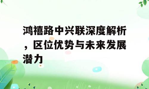 鸿禧路中兴联深度解析，区位优势与未来发展潜力