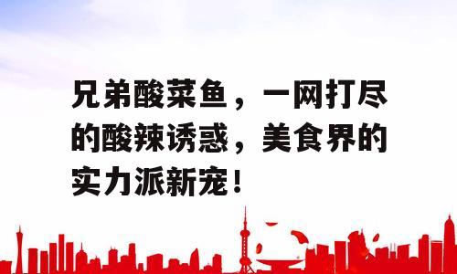 兄弟酸菜鱼，一网打尽的酸辣诱惑，美食界的实力派新宠！