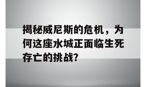 揭秘威尼斯的危机，为何这座水城正面临生死存亡的挑战？