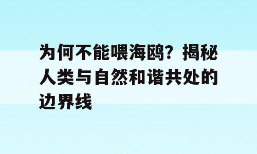为何不能喂海鸥？揭秘人类与自然和谐共处的边界线