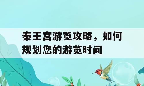 秦王宫游览攻略，如何规划您的游览时间