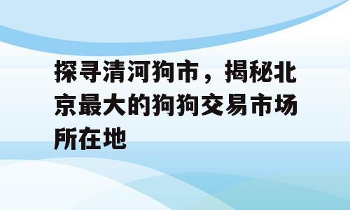 探寻清河狗市，揭秘北京最大的狗狗交易市场所在地