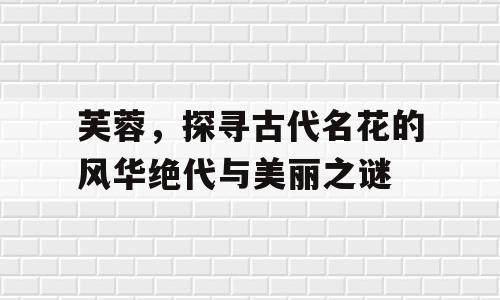 芙蓉，探寻古代名花的风华绝代与美丽之谜