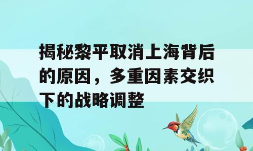 揭秘黎平取消上海背后的原因，多重因素交织下的战略调整