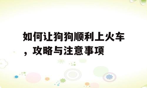 如何让狗狗顺利上火车，攻略与注意事项