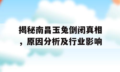 揭秘南昌玉兔倒闭真相，原因分析及行业影响