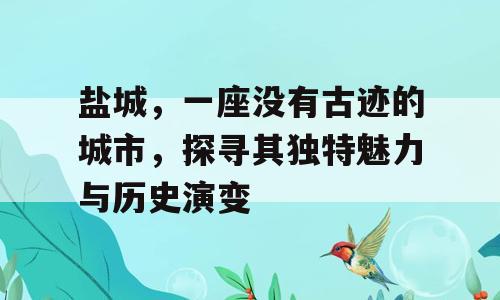 盐城，一座没有古迹的城市，探寻其独特魅力与历史演变