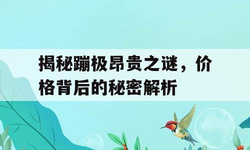 揭秘蹦极昂贵之谜，价格背后的秘密解析