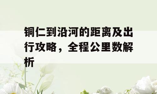 铜仁到沿河的距离及出行攻略，全程公里数解析