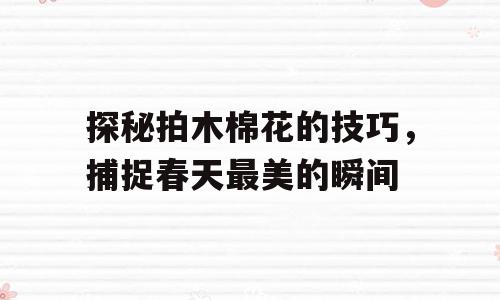 探秘拍木棉花的技巧，捕捉春天最美的瞬间