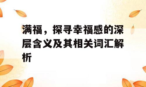 满福，探寻幸福感的深层含义及其相关词汇解析