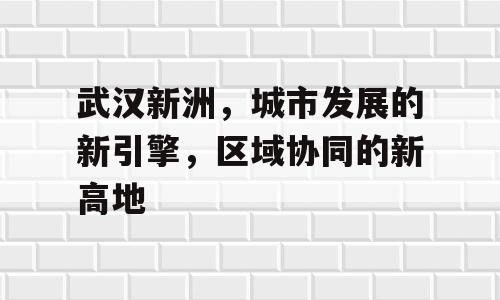 武汉新洲，城市发展的新引擎，区域协同的新高地