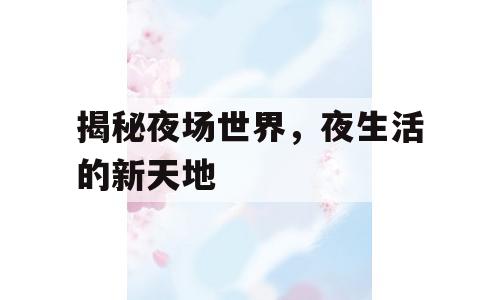 揭秘夜场世界，夜生活的新天地