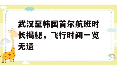武汉至韩国首尔航班时长揭秘，飞行时间一览无遗