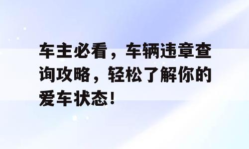 车主必看，车辆违章查询攻略，轻松了解你的爱车状态！