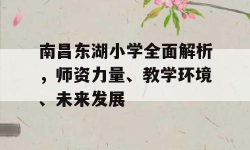 南昌东湖小学全面解析，师资力量、教学环境、未来发展