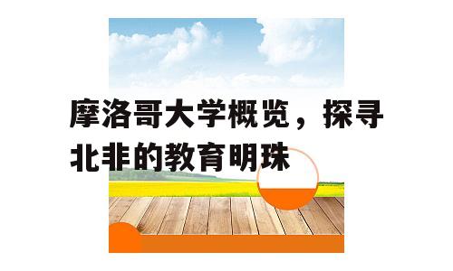 摩洛哥大学概览，探寻北非的教育明珠