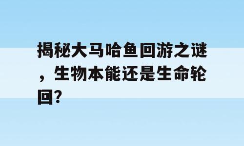 揭秘大马哈鱼回游之谜，生物本能还是生命轮回？