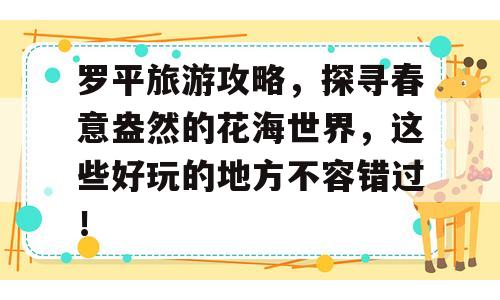 罗平旅游攻略，探寻春意盎然的花海世界，这些好玩的地方不容错过！