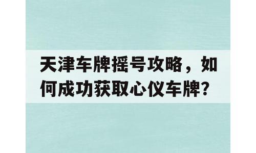 天津车牌摇号攻略，如何成功获取心仪车牌？
