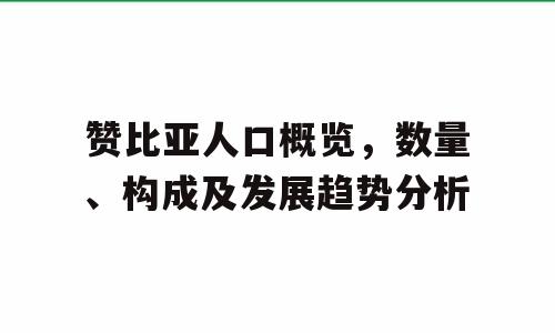 赞比亚人口概览，数量、构成及发展趋势分析