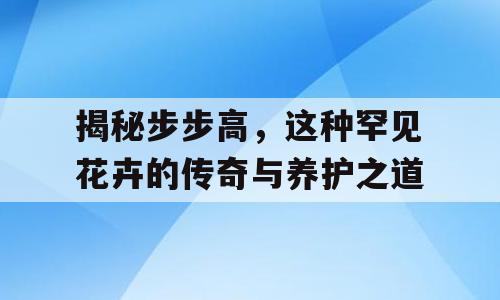 揭秘步步高，这种罕见花卉的传奇与养护之道