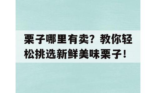 栗子哪里有卖？教你轻松挑选新鲜美味栗子！