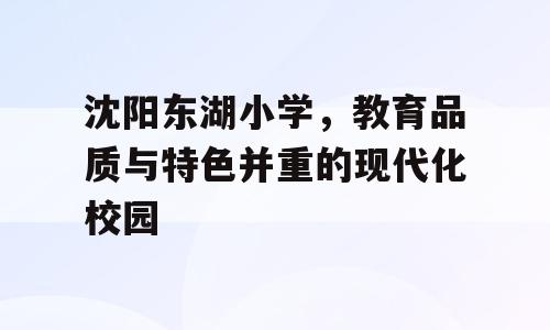 沈阳东湖小学，教育品质与特色并重的现代化校园