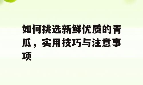 如何挑选新鲜优质的青瓜，实用技巧与注意事项