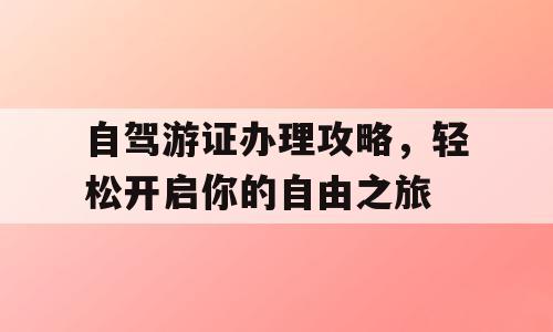 自驾游证办理攻略，轻松开启你的自由之旅