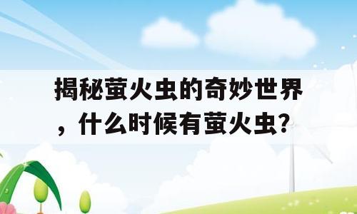 揭秘萤火虫的奇妙世界，什么时候有萤火虫？