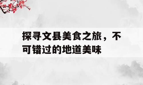 探寻文县美食之旅，不可错过的地道美味