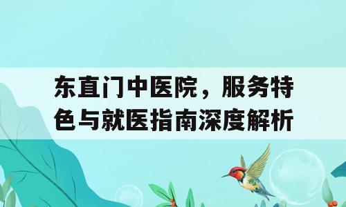 东直门中医院，服务特色与就医指南深度解析