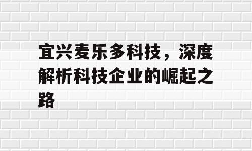 宜兴麦乐多科技，深度解析科技企业的崛起之路
