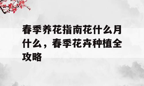 春季养花指南花什么月什么，春季花卉种植全攻略