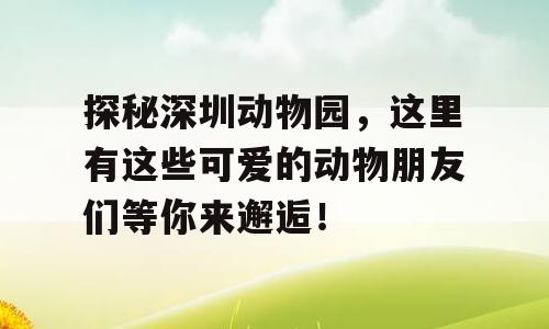 探秘深圳动物园，这里有这些可爱的动物朋友们等你来邂逅！