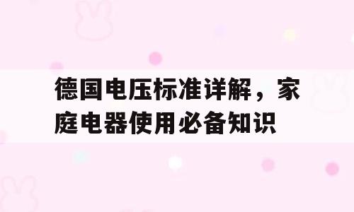 德国电压标准详解，家庭电器使用必备知识