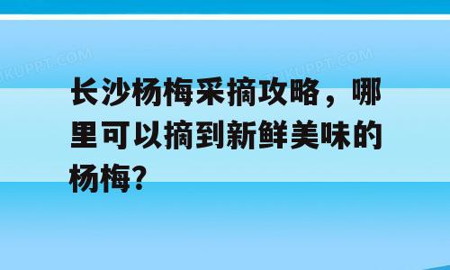 长沙杨梅采摘攻略，哪里可以摘到新鲜美味的杨梅？